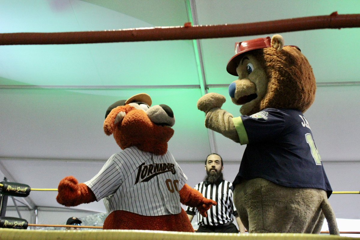 WooBaseball's tweet image. JAKE THE LION TAKES THE W IN THE MATCHUP OF THE CENTURY!!!!!!!