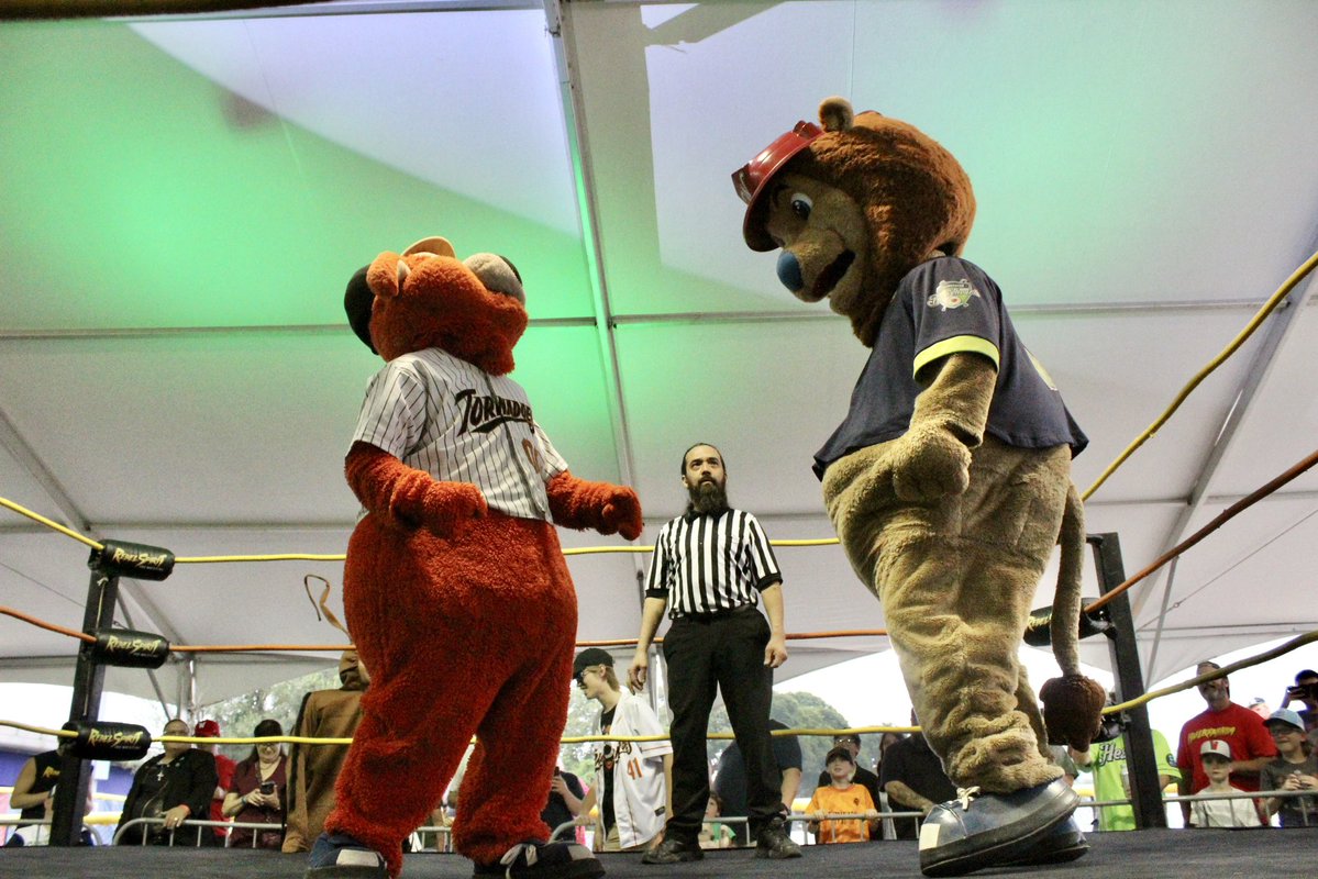 WooBaseball's tweet image. JAKE THE LION TAKES THE W IN THE MATCHUP OF THE CENTURY!!!!!!!