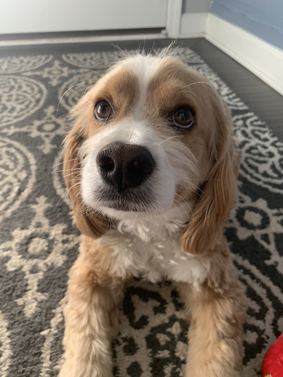 dinner tonight 😋😋