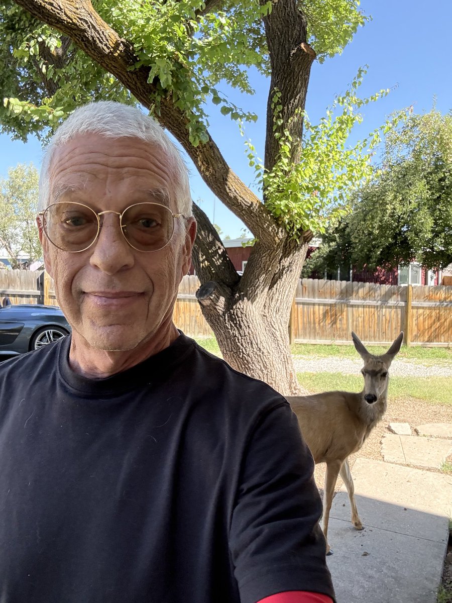 4zoyazu's tweet image. Los Alamos- trained deer
