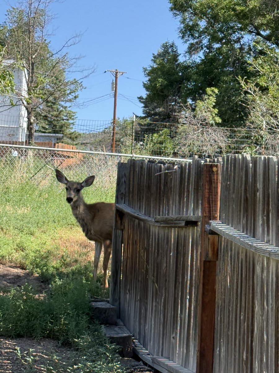 4zoyazu's tweet image. I love New Mexico 😍