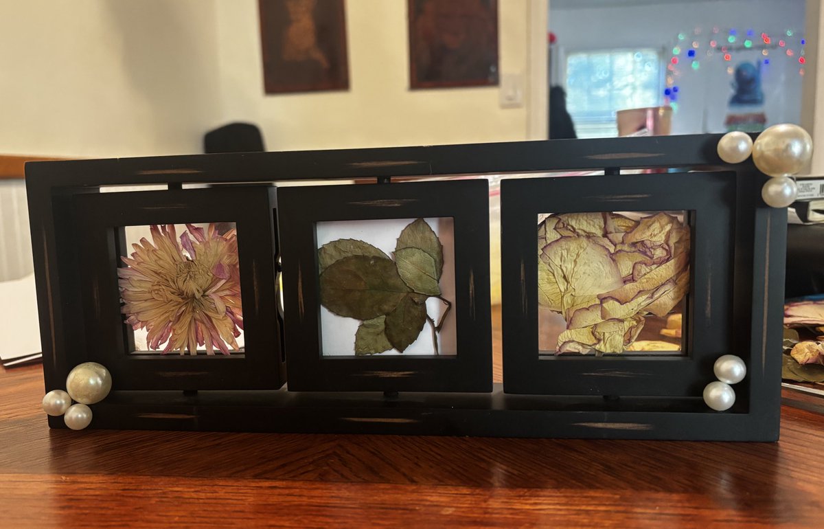 DogmaObsec's tweet image. I do caregiving and my clients daughter passed away earlier this year. Did some flower pressings for her from the memorial, the pearls are from the memorial too. She is so going to cry on Monday.