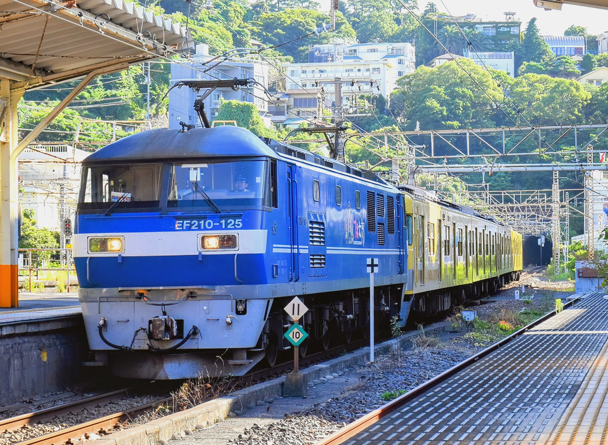ミニ 掛け軸 『 日々是好日 』 雅山 作 書 御所車 瑞雲 亀甲紋 掛軸 です 河内雅渓【鶴亀日出】三幅対掛軸 Z396｜骨董店 のびる 古美術