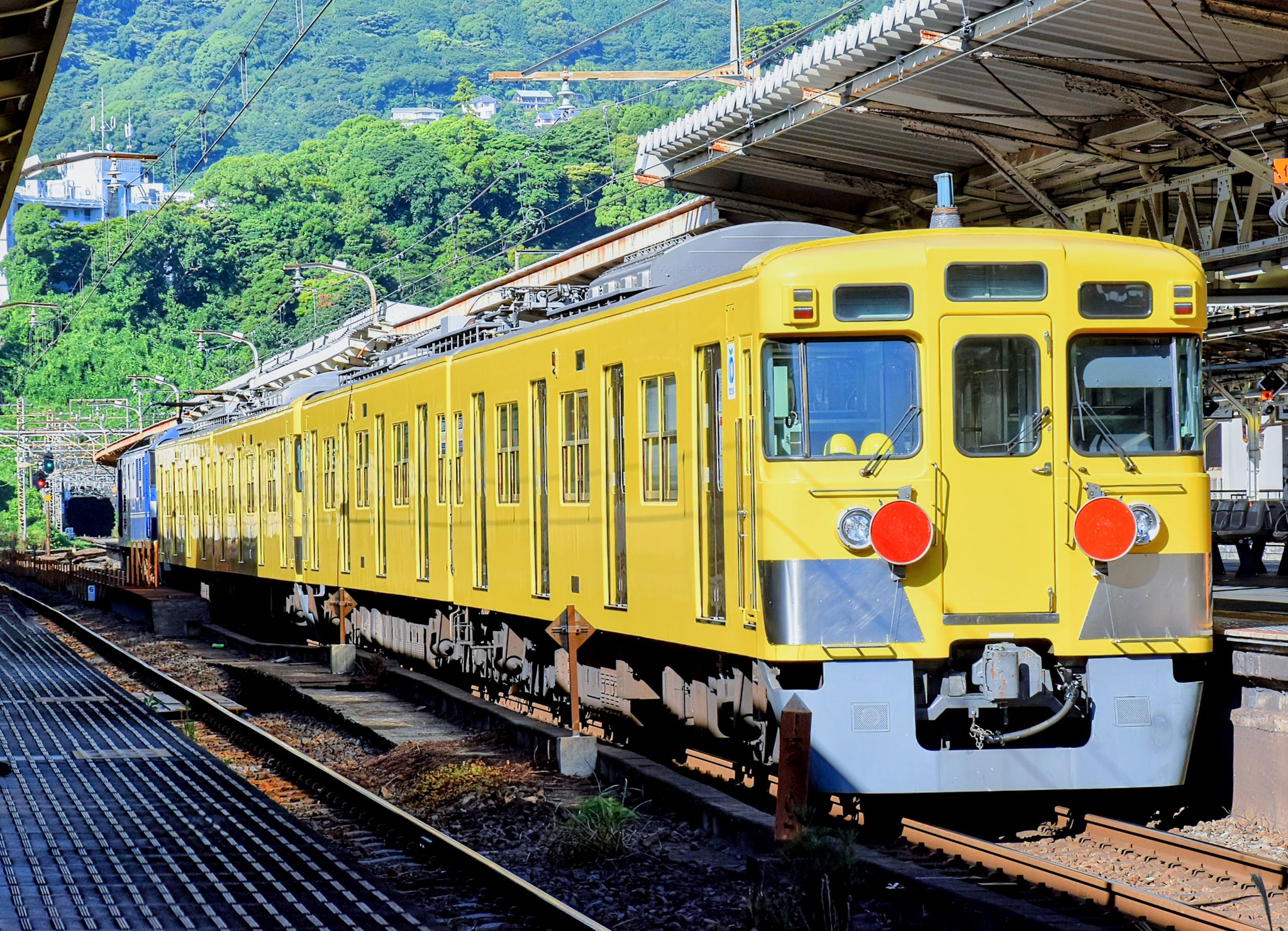 ミニ 掛け軸 『 日々是好日 』 雅山 作 書 御所車 瑞雲 亀甲紋 掛軸 です 日々是好日のおすすめ人気商品一覧 通販 - Yahoo!ショッピング