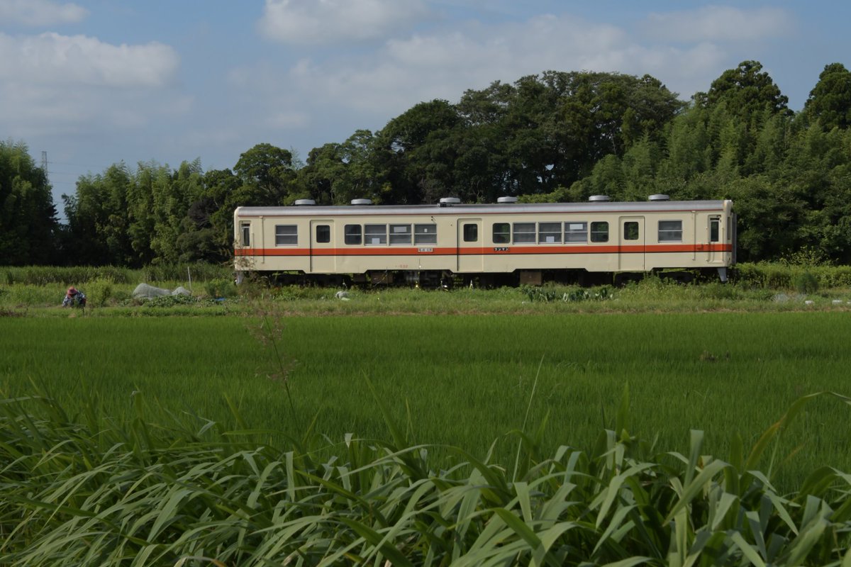HEROSHIMO's tweet image. 17レ
日曜朝。
532が走っています。
7/27 #関東鉄道 #竜ヶ崎線 #キハ532