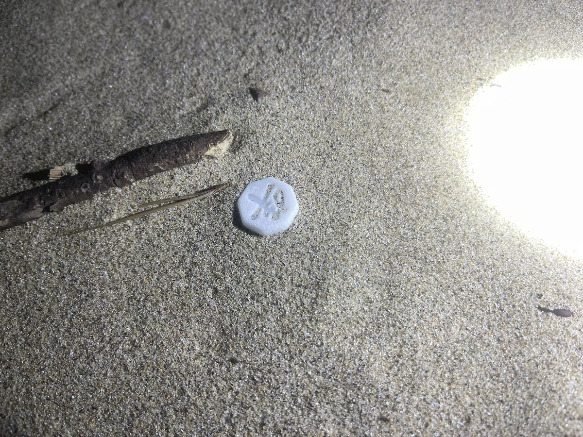 De2_trash_rush's tweet image. 今日の拾い物
チャンギの卒と兵、フィリピンのおもちゃの硬貨、シス卿みたいな顔
#ビーチコーミング