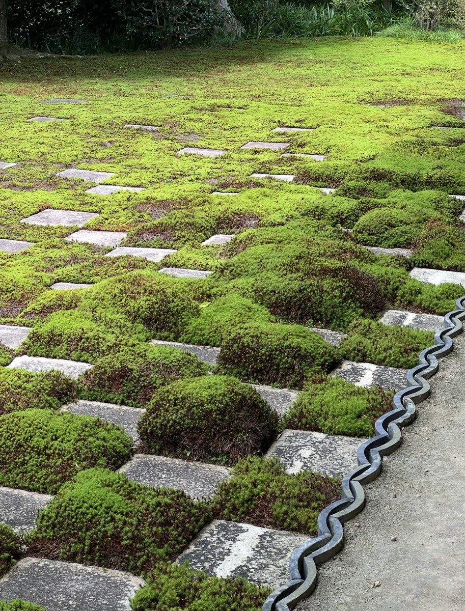 k_tamago_power's tweet image. 【東福寺】
『方丈八相庭園』
苔のもっこりが凄いですね😅
これ2年前なんですけど💦
今頃どうなってるのかな🤣
お洒落な入れ物に入った抹茶チョコレートみたいに見えてきた😆