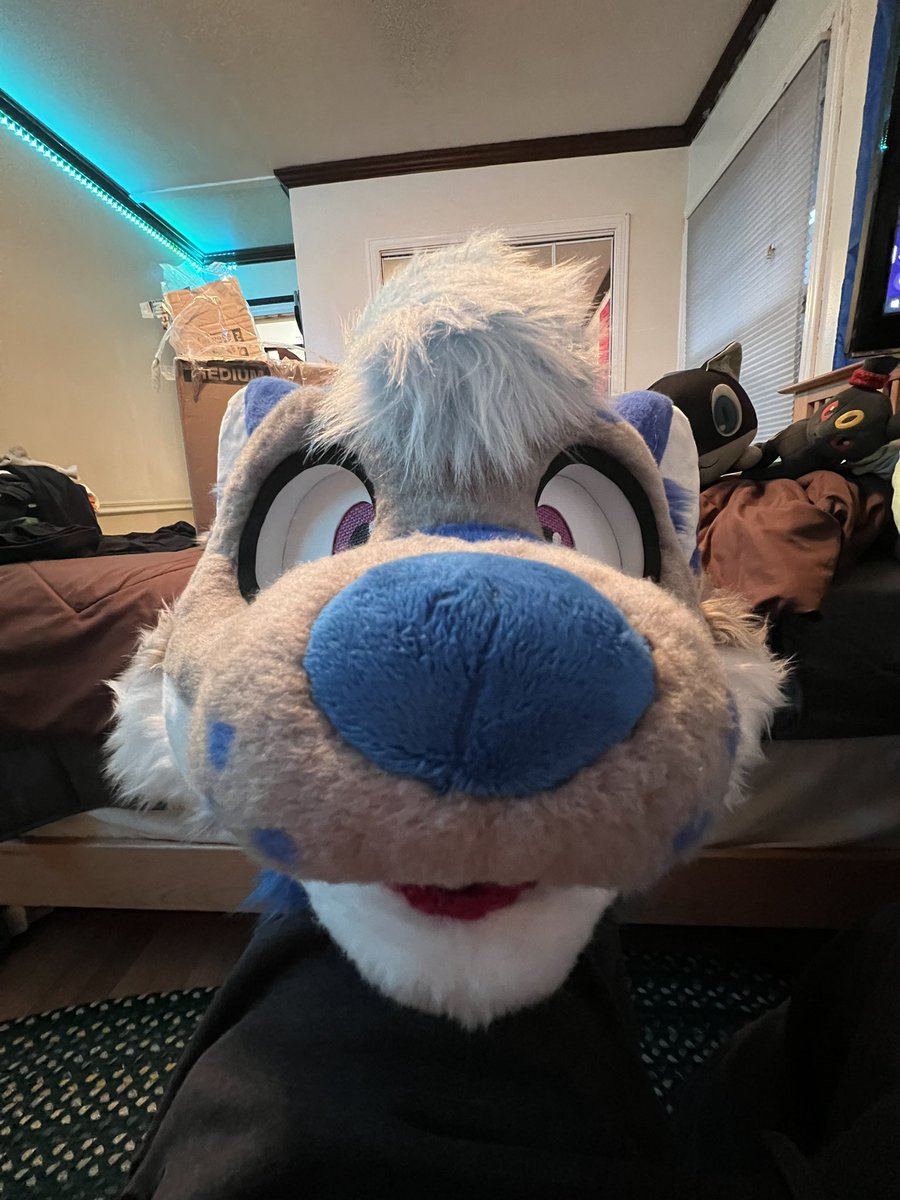 Post your fursuit like this ✨