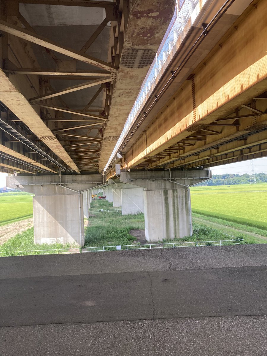 goriraceo's tweet image. 始めに水谷豊があり...
水谷豊は山川豊と共にあり二人は神であった...
水は川となり...山から谷へと流れ..
竹野内豊と...松重豊を創った..
時が無数の豊を育んだ...
いつしか豊が大地を支配して
やがて国が生まれ...争いが絶えなくなった頃...
一人の若き豊が....自由を叫び
窓ガラスを壊して回った...