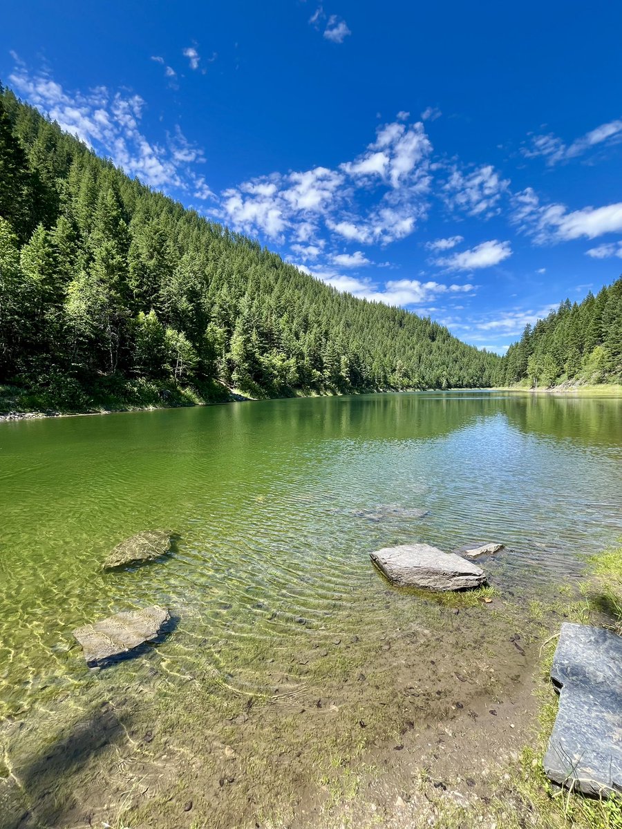CPoppino's tweet image. After several hours bent over picking berries in the heat, decided to stop at a little lake and dip my toes in π¦