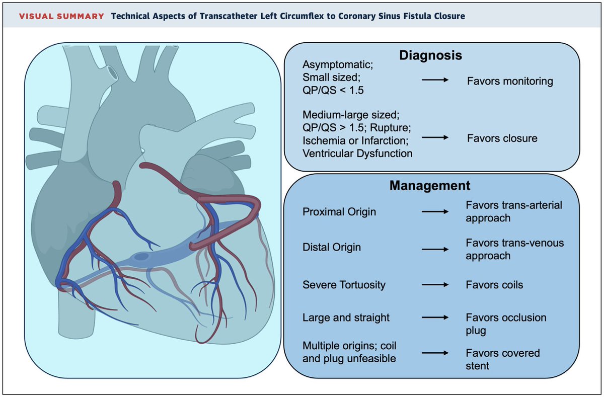 AndreaScotti21's tweet image. Transcatheter Closure of LCx to Coronary Sinus Fistula
In this #JACCCR case you will find:
🧩multimodality diagnostic approach
🛠️procedural planning
🧶role & technical challenges of coils
Read the case from @DL_Feldman @jcecharte @MatteoSturlaM et al.
🔗jacc.org/doi/10.1016/j.…