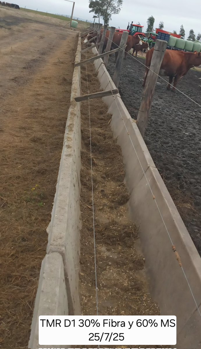 Sebastián Frade tweet media