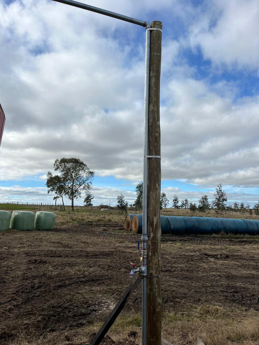 Sebastián Frade tweet media