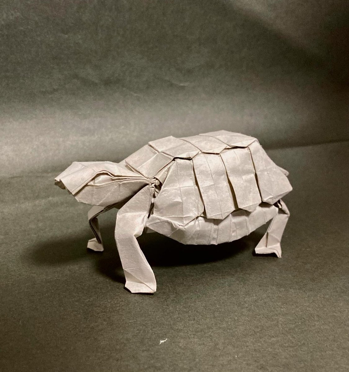 LONELY ROLLING STAR (tortoise)

創作　えぃくん
用紙　ビオトープ21cm

#えぃくん　#折り紙