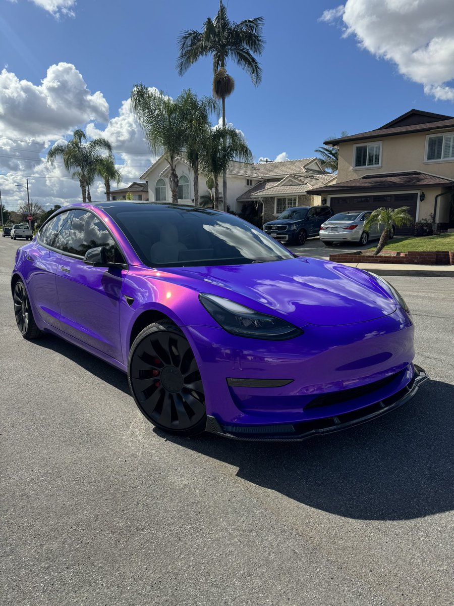 Draynilla tweet media