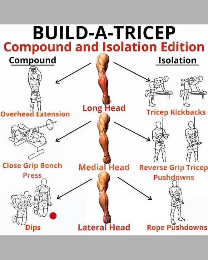 FitnessGuide0's tweet image. Get bigger Tricep doing this workout