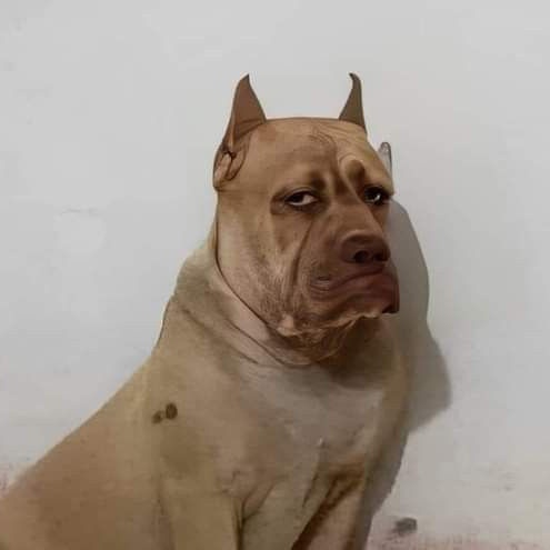 sugckity's tweet image. yo si gana                                  yo si
westcol                               gana grefg