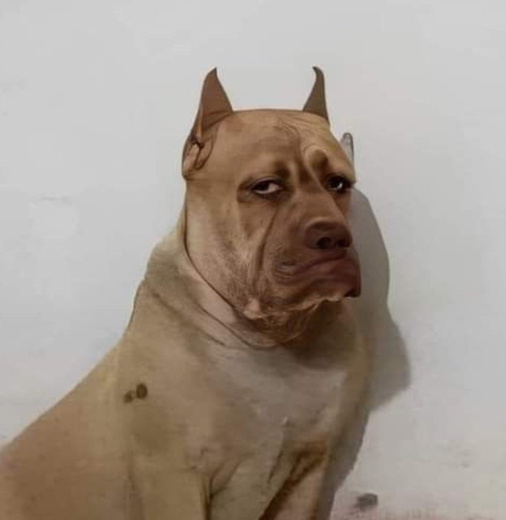 sugckity's tweet image. yo si gana                                  yo si
westcol                               gana grefg
