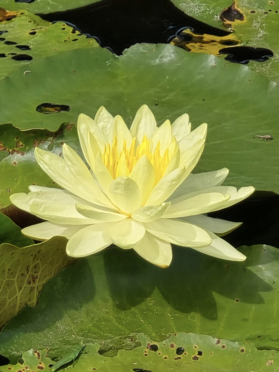 <a href="/StacySharko17/">StacyShark🎯verTheTarget</a> <a href="/PapiTrumpo/">il Donaldo Trumpo</a> <a href="/realDonaldTrump/">Donald J. Trump</a> 🤩🤝🤩