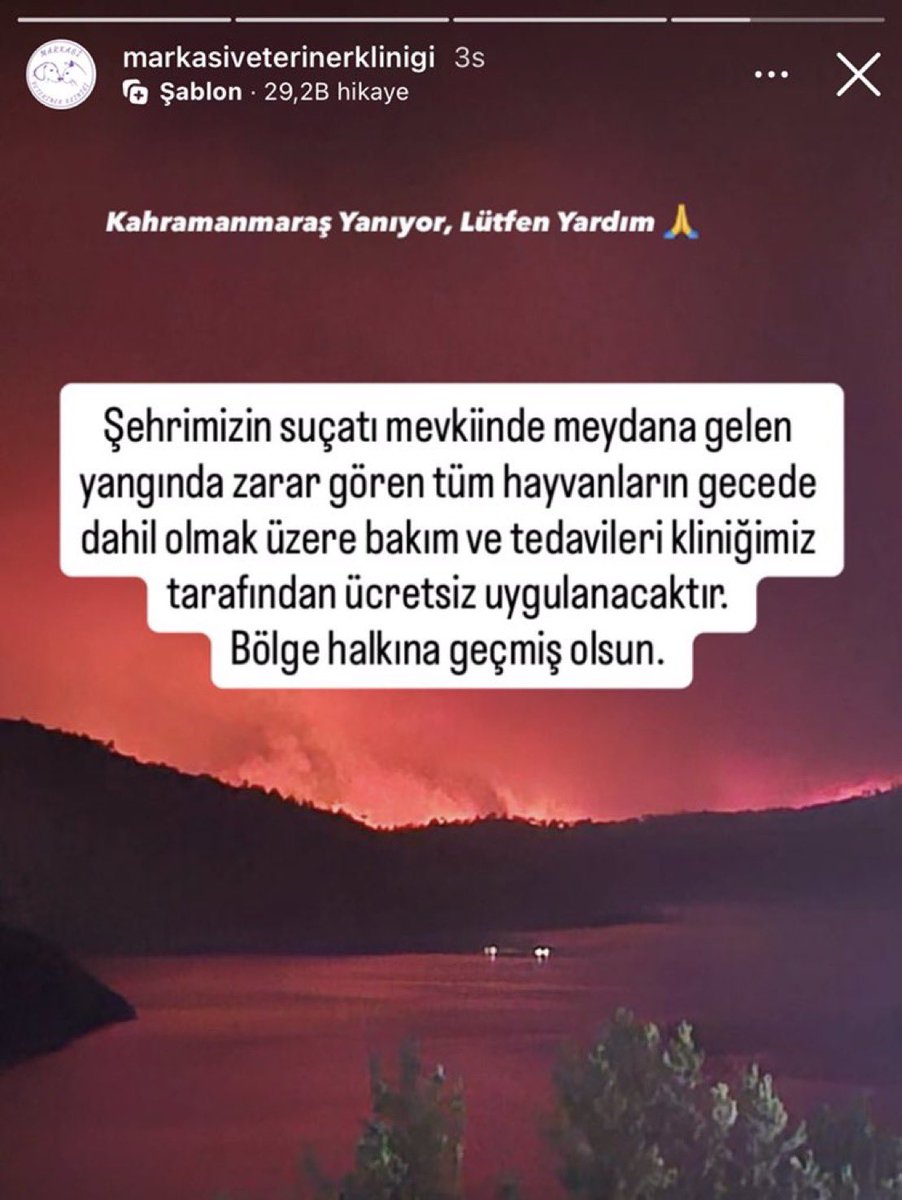 YAYALIM

maraş yangından etkilenen bütün hayvanlar için ücretsiz hizmet veriyorlar

📌 markasi veteriner, 0539 468 25 01