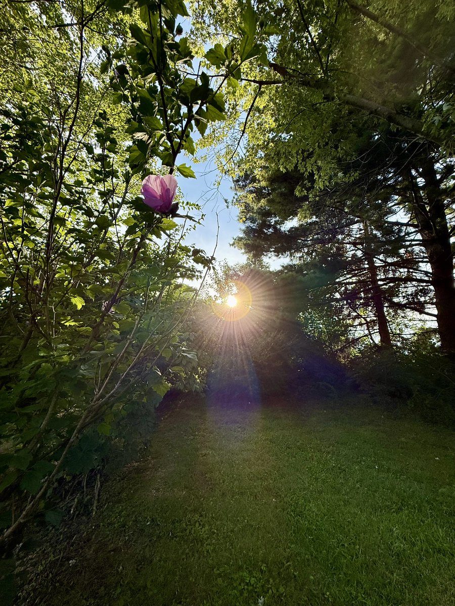 this is where the magic happens