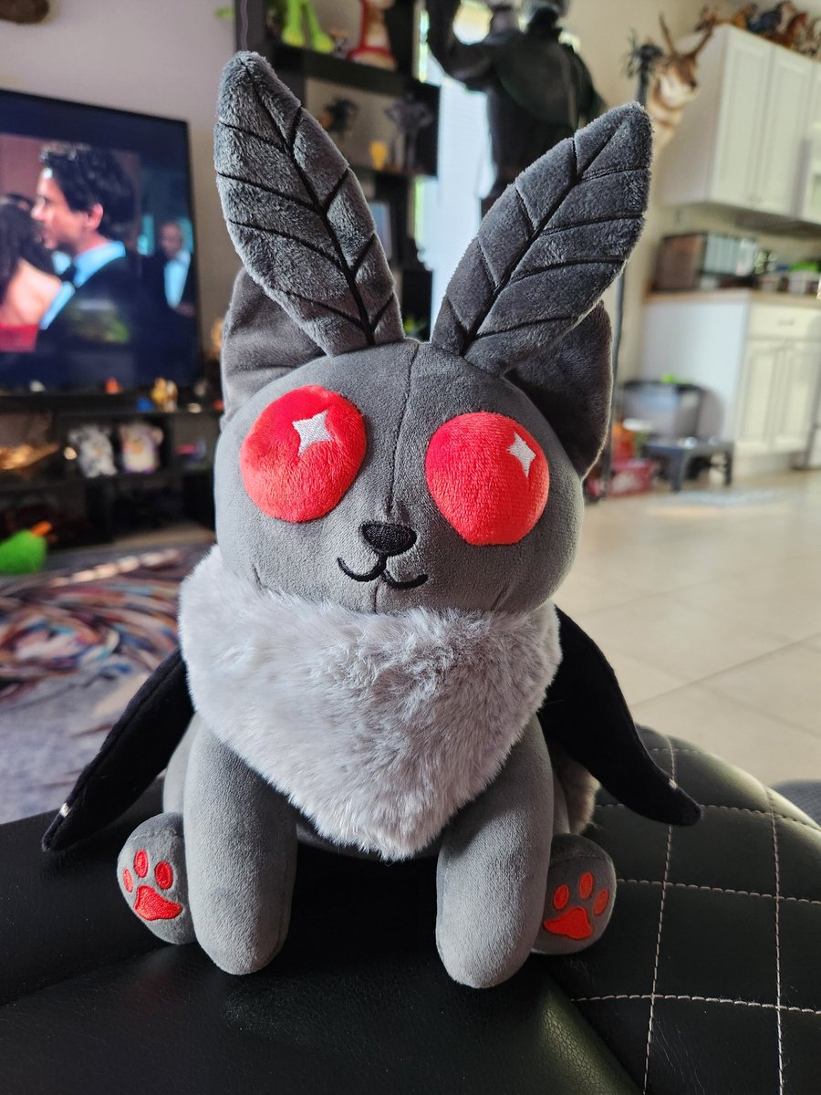 ClownCarCritter's tweet image. Adorable MothCat I got at GalaxyCon! 😸
Made by Red Baran Creations