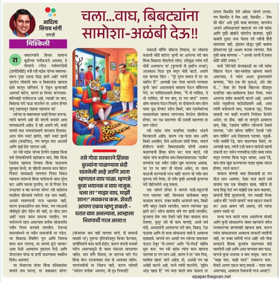 Bhangui's tweet image. 🤪 चला... वाघ, बिबट्यांना सामोशा-अळंबी देऊ - आदित्य सिनाय भांगी, गोवन वार्ता - 27 July 2025.
@goanvarta #Satire