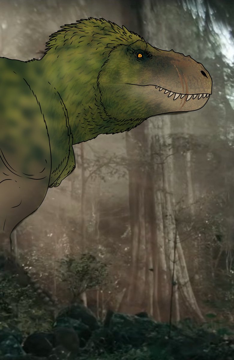 MrFragilis's tweet image. I think the Deprimitive War rex design is personally one of the worst tyrannosaurus designs I&apos;ve ever seen, here&apos;s a small edit using the beautiful design from the graphic novel as a reference :)
#PrimitiveWar