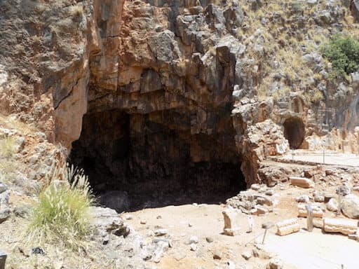 Pastor Coin tweet media