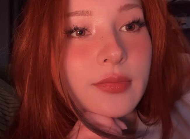 daily tina (@mytinakitten) on Twitter photo 