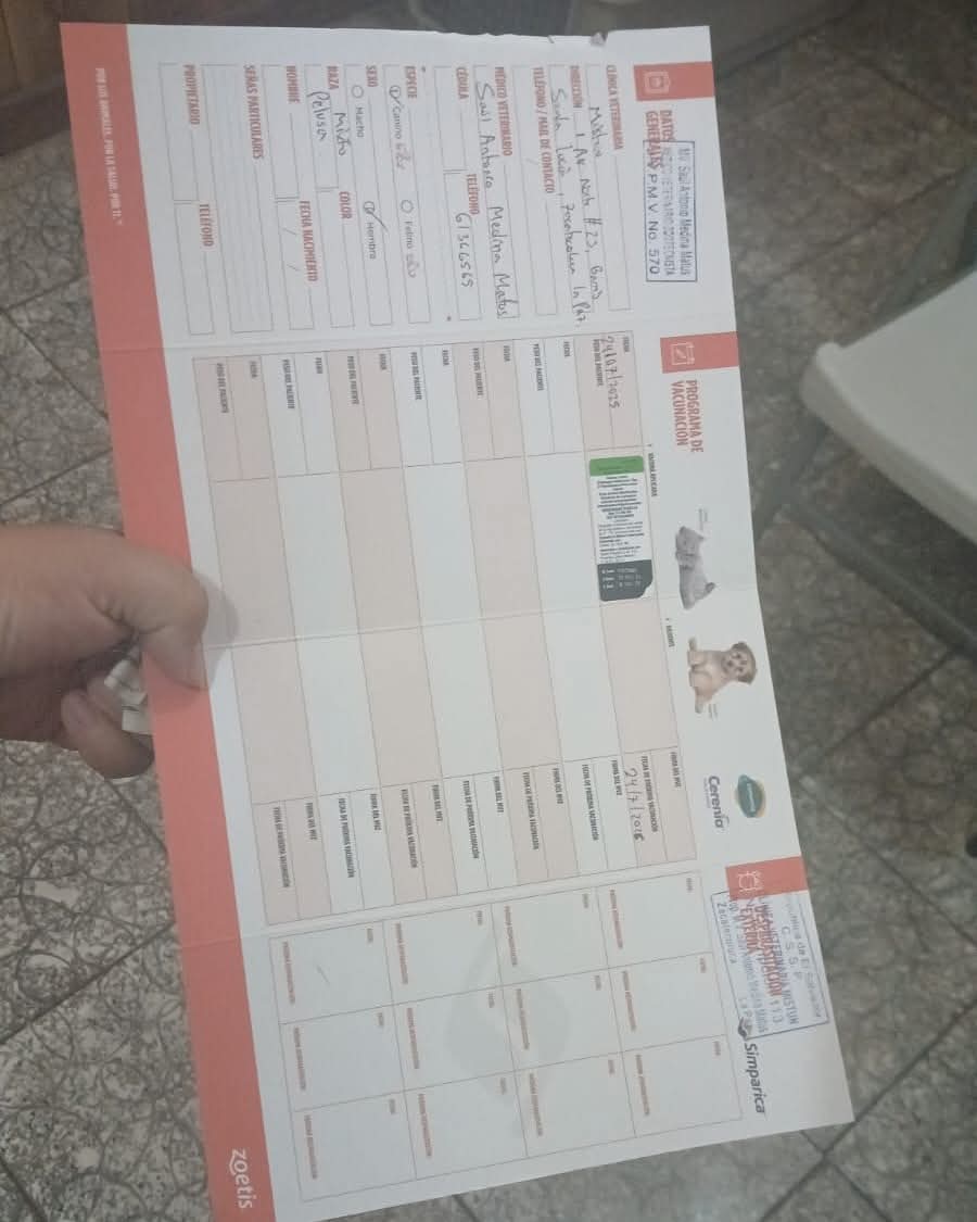 lyssitta's tweet image. #agradecimiento
Pelusa ya tiene su vacuna quintuple
Un ANÓNIMO nos donó $25 para poder llevarla al vet y que se la aplicaran 🙏🙏🙏
Aún necesitamos terminar de reunir los $75 para pagar su transporte desde Zacatecoluca al que será su nuevo hogar
Nos ayuda por favor 🙏
Formas…