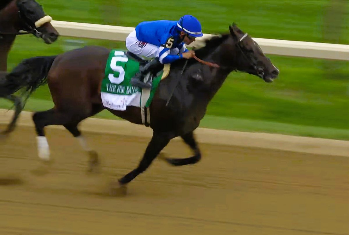 SARATOGA (EUA): ¡Solvente y sin apuros! SOVEREIGNTY resolvió con elegancia el JIM DANDY S. (G2)
hipismomundial.com/saratoga-eua-s…