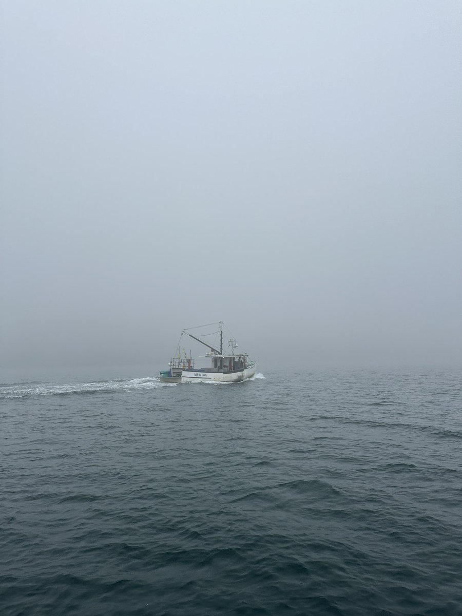 natewind's tweet image. From a foggy day on a boat off the coast of Maine