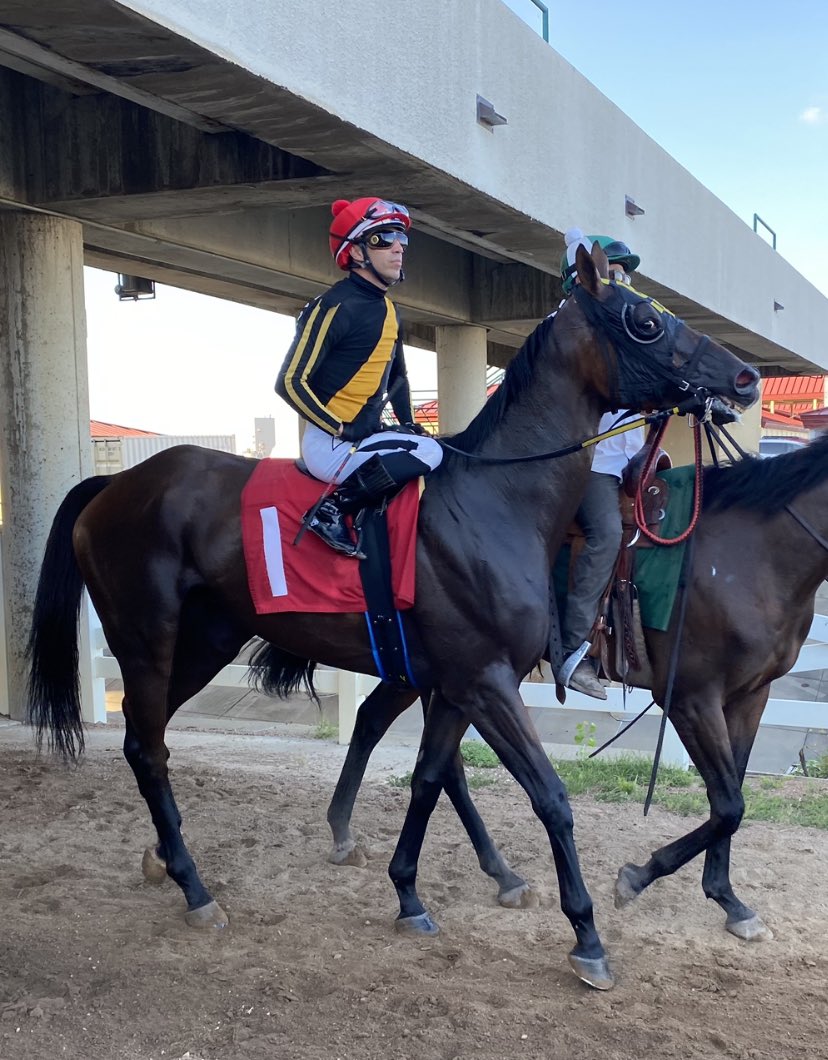 Patrick Mooney (@patrickmoondog) on Twitter photo Arromax, 5 year old gelding by Arrogate, before the 5th <a href="/CanterburyPark/">Canterbury Park</a>. Lifetime stats 15-1-1-5 $28,734 Arromax, 5 year old gelding by Arrogate, before the 5th <a href="/CanterburyPark/">Canterbury Park</a>. Lifetime stats 15-1-1-5 $28,734