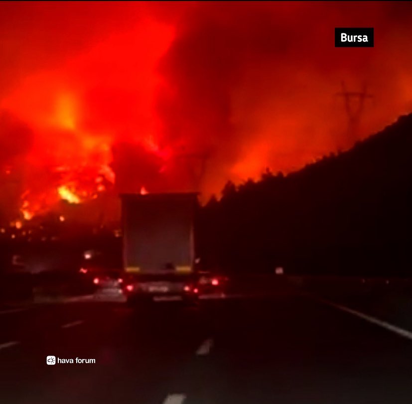 Korkularınızla tek bir nefese muhtaç, çaresizlik içinde yok olun.
