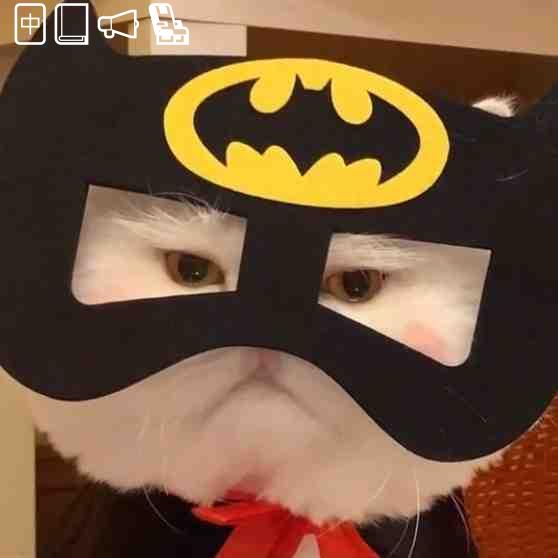 Shoulder bag heavy camera could occur without cause increase.🦉🤢🦾6094