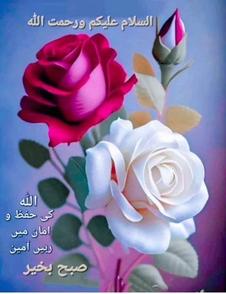 Iqb9786's tweet image. السلام علیکم و رحمتہ اللہ و برکاتہ
💖💚صبح بخير 💚💖
#خاتم_النبیین_محمدﷺّ
یا اللہ رب العزت،ہم سبکی تمام پریشانیوں،مصیبتوں آفتوں غموں بیماریوں کودُورفرما
ہمارےتمام صغیرہ وکبیرہ گُناہ معاف فرما اورہم سبکی بخشش فرمادے
خوش رہیں خوشیاں بانٹیں
امین ثمہ امین یا رب العالمین
#X_promo