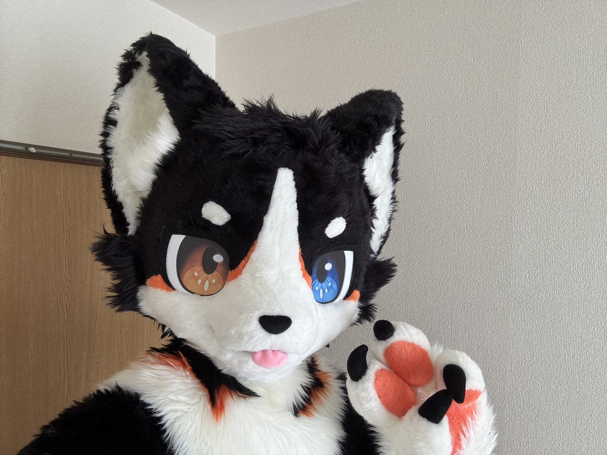 アル (@furry_al745) on Twitter photo 