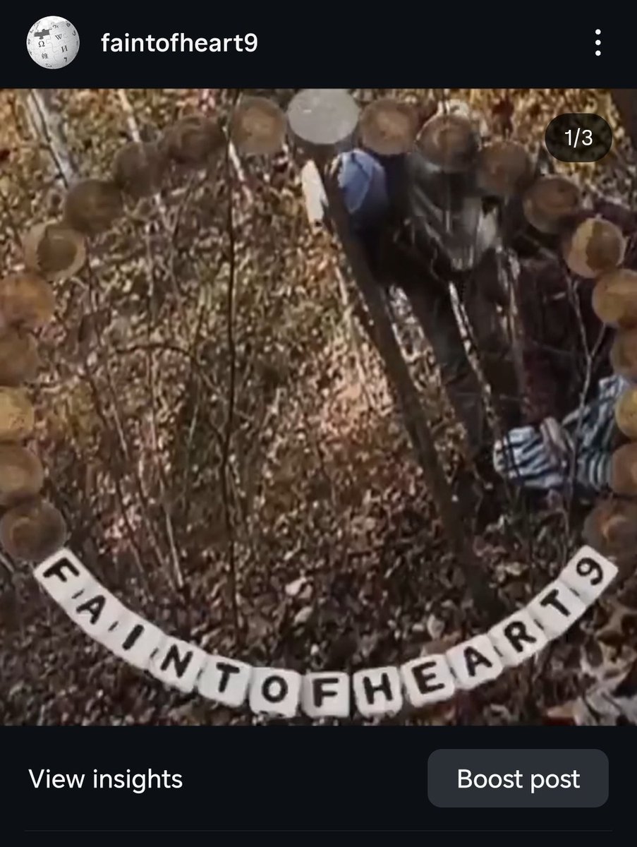 shaperbox's tweet image. everyone open Instagram and like this post