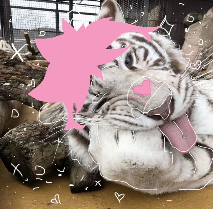 FurryTrashMx's tweet image. Si @DrawoBun comenta este post en menos de 30 minutos, suelto una foto de las picosas...
Pero dudo que lo vea
