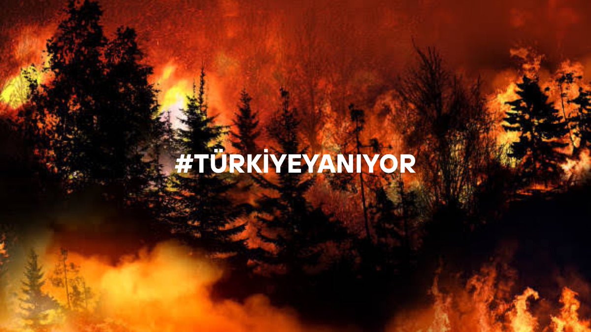 Dün İzmir
Bugün Bursa
Yarın neresi için tweet atacağız bilmiyoruz.
Canlılarımız, doğamız ülkemizin en önemli parçaları yok olup gidiyor ve yapabileceğimiz tek şey sesimizi duyurabilmek. 
Anasız yaşanır, babasız yaşanır ama Vatansız yaşanmaz.
Sözün bittiği yer.

#türkiyeyanıyor