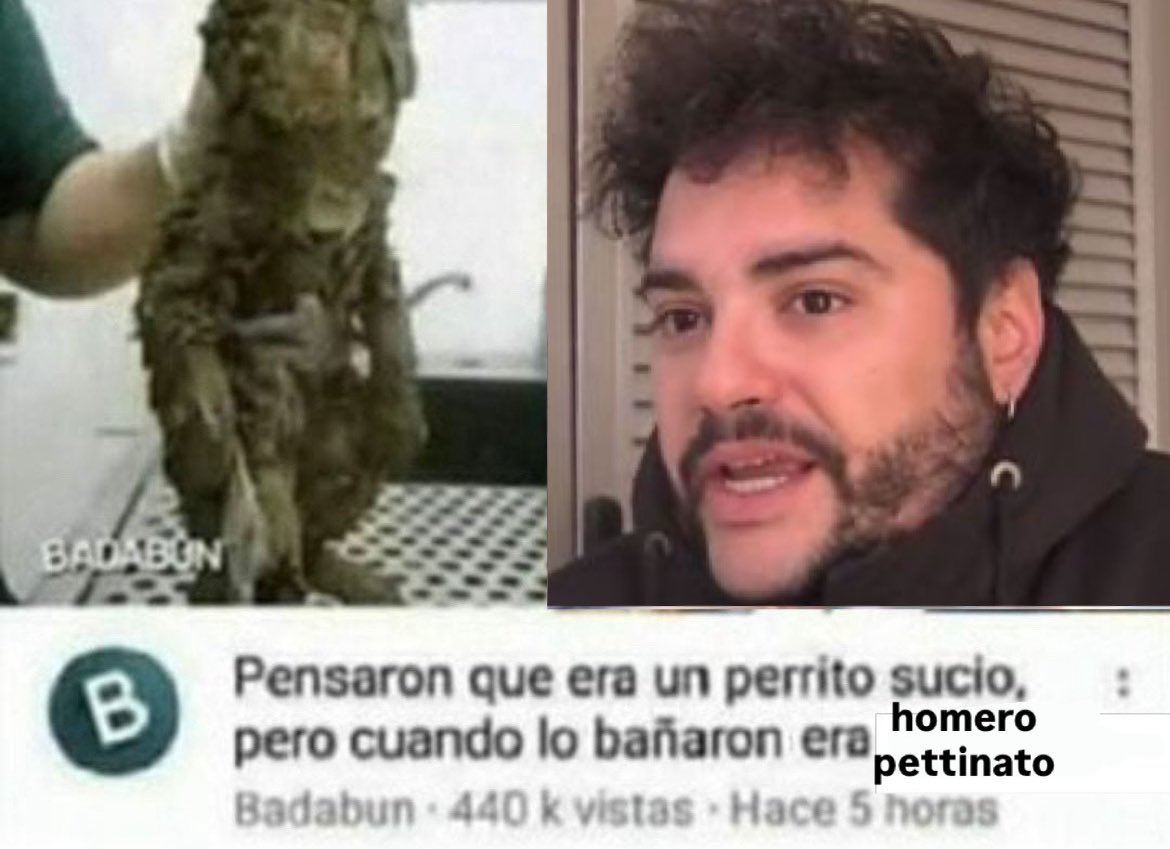 guadastrokera's tweet image. me tiene podrida la reini con el adefesio de pettinato como si no supiera con quien se ponía de novia