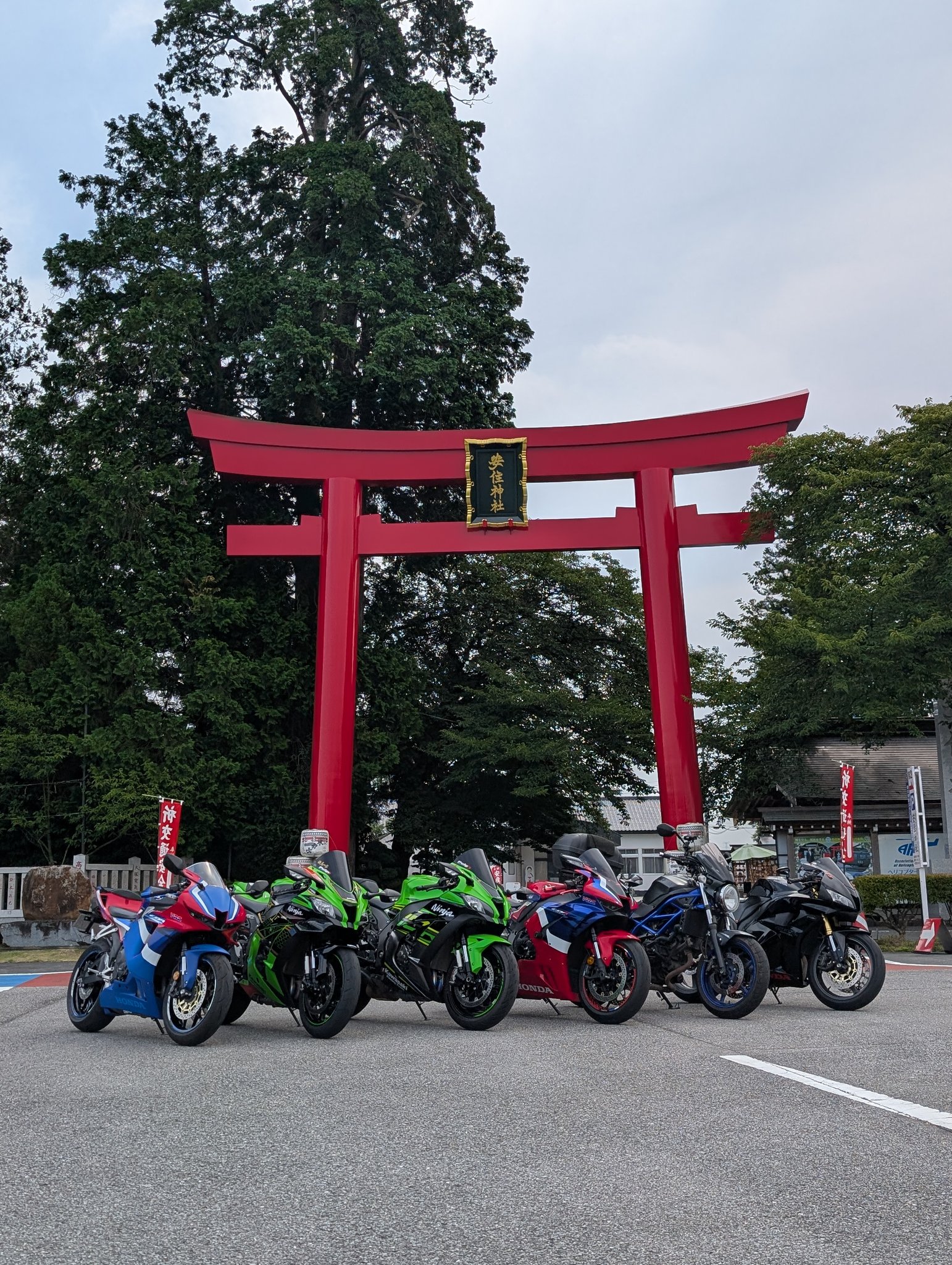もったこ様 h-marukaichi_4571128588368