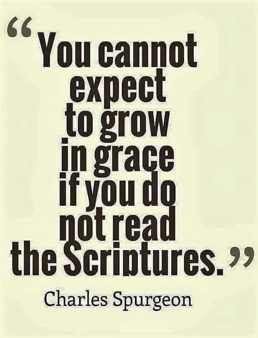 saintscommlagos's tweet image. Amen
#chrissegunonayinka
#saintscommunitychurch