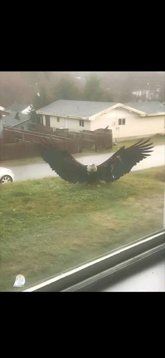 Marth corner camping with walling aerials