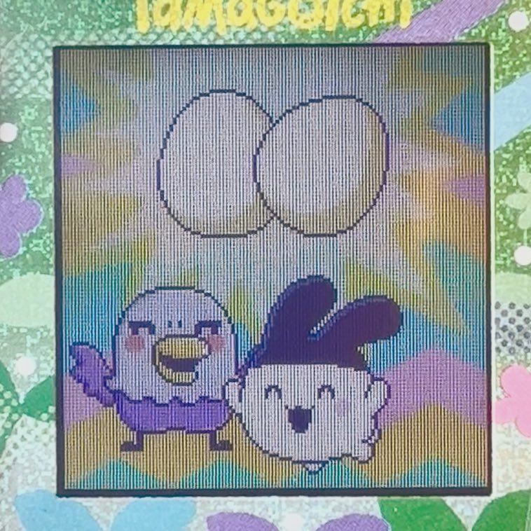310imoo's tweet image. みみちパラダイスするぞ！🫶
