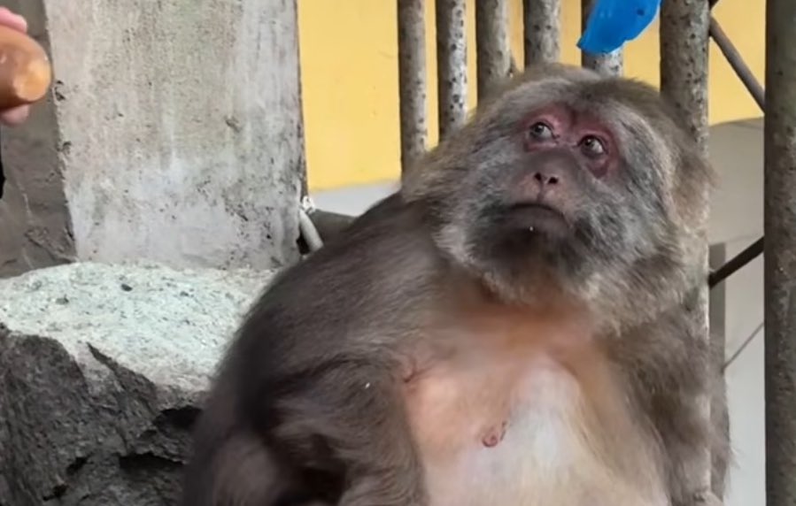 𝕿𝖗𝖊𝖞𝖇𝖆𝖎𝖑𝖊 𓇙 ♏︎ (@treybailetv) on Twitter photo 