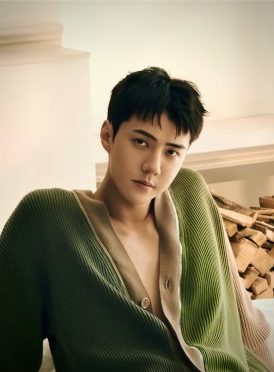 ohsehunfolder's tweet image. he is so fine