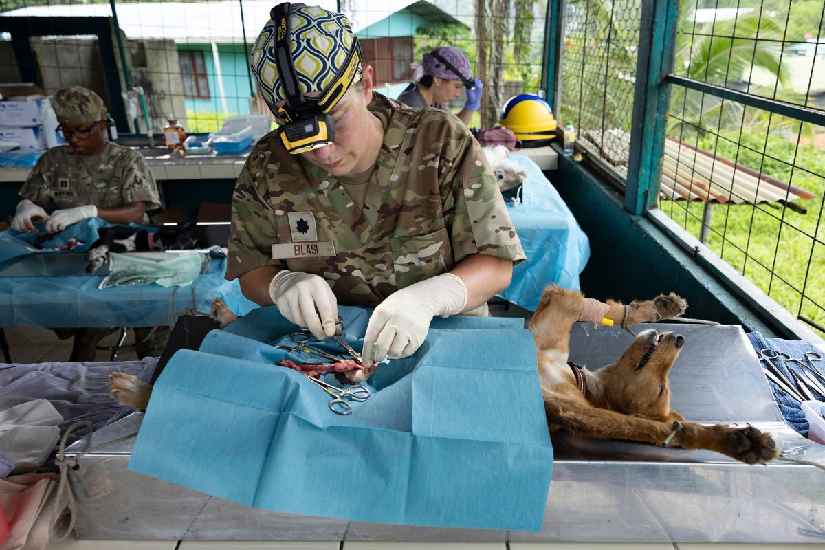 NAVSOUS4THFLT's tweet photo. Photos of the day from Limรณn, Costa Rica ๐จ๐ท
U.S. Army vets perform spay and neuter procedures ๐ถ๐ฑ
HM2 Christopher Colunga takes a child's vitals ๐ง๐ฉบ
CE2 Carlos DominguezGuzman cuts through drywall ๐ช๐ฅฝ
Sailors offload supplies from USNS COMFORT T-AH 20 ๐ช๐ข
#ContinuingPromise 25 is the 16th iteration of the U.S. Naval Forces Southern Command & U.S. 4th Fleet-led mission support since 2007, which aims to foster goodwill, strengthen existing partnerships with partner nations, and form new partnerships between host nations, non-federal entities, and international organizations. ๐ค๐
๐ธ: MC2 Paul
๐ธ: Pfc. Bristol
๐ธ: MC2 Boatright
๐ธ: MC2 Womack
#USNSComfort #StrongerTogether #PromesaDuradera #EstamosUnidos