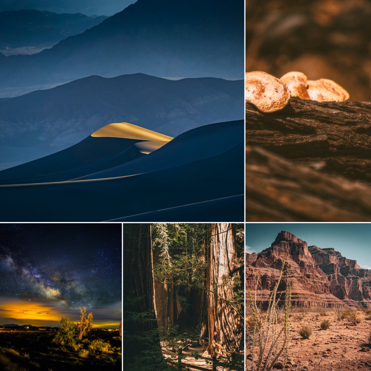 Photography takes me to another place, its calms my mind and give me great joy. 

Sharing it with you all is the added bonus
✊